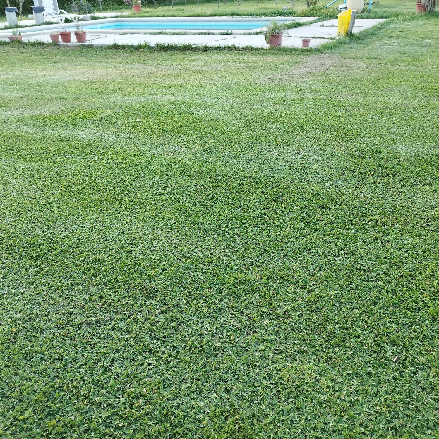 Parcela Curacavi 5.087 mts2