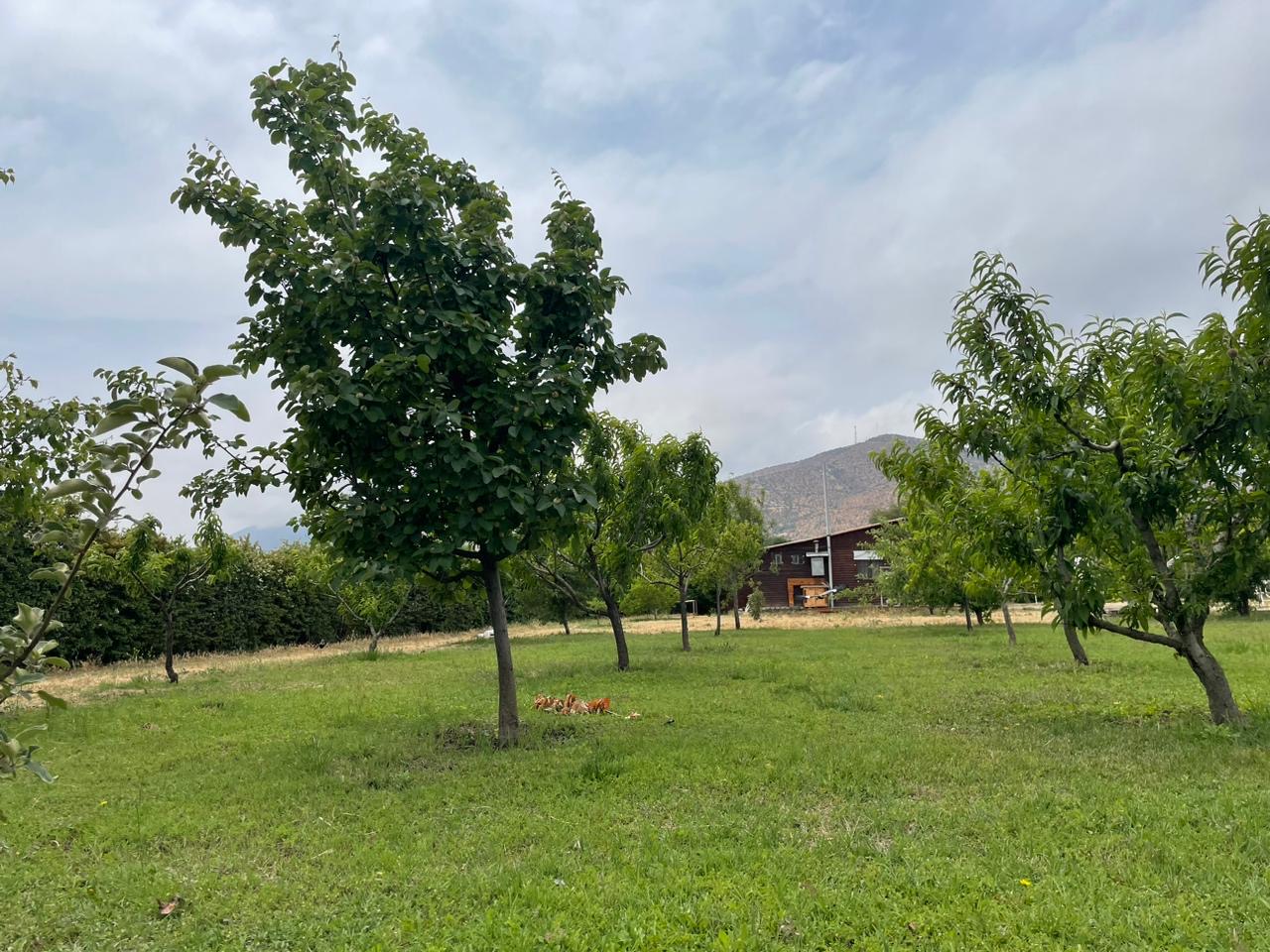 Parcela Curacavi 5.087 mts2