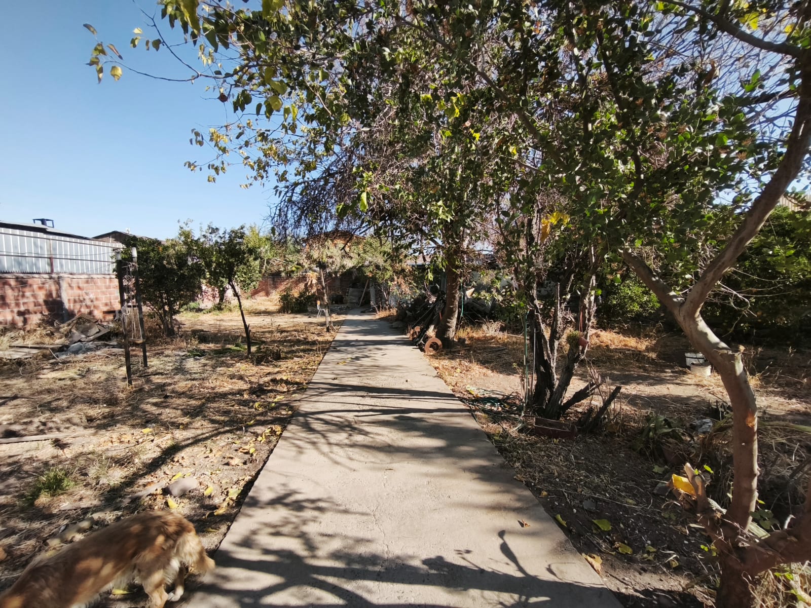 Terreno Con Potencial Uso Comercial E Industrial Inofensivo