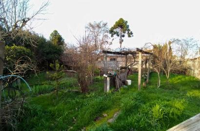 Terreno comercial 800m² en avenida principal.