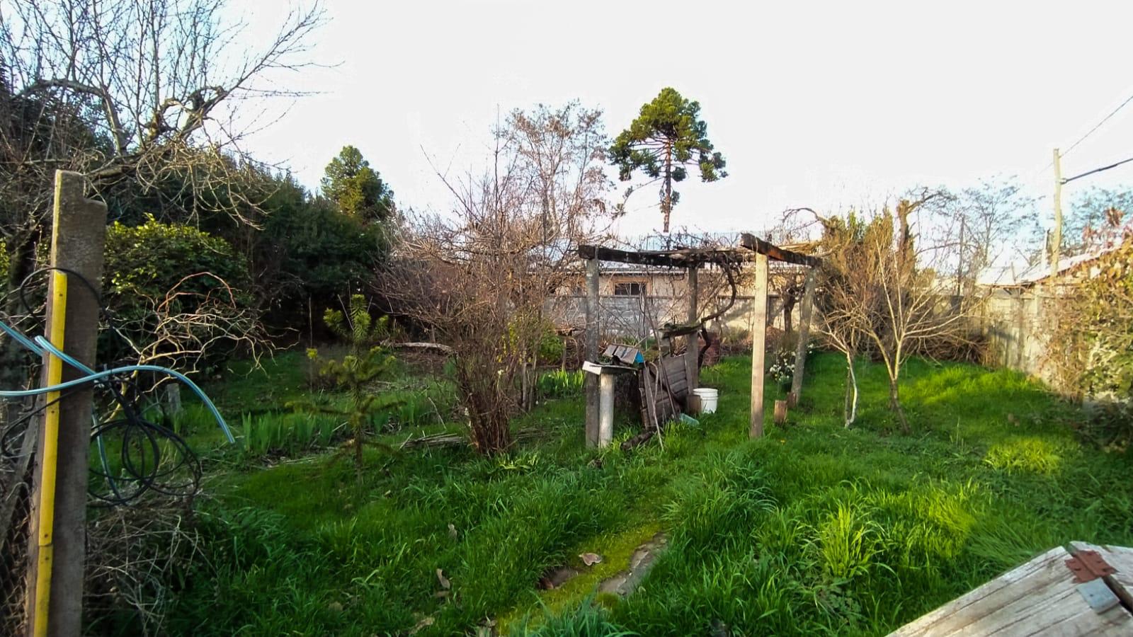 Terreno comercial 800m² en avenida principal.