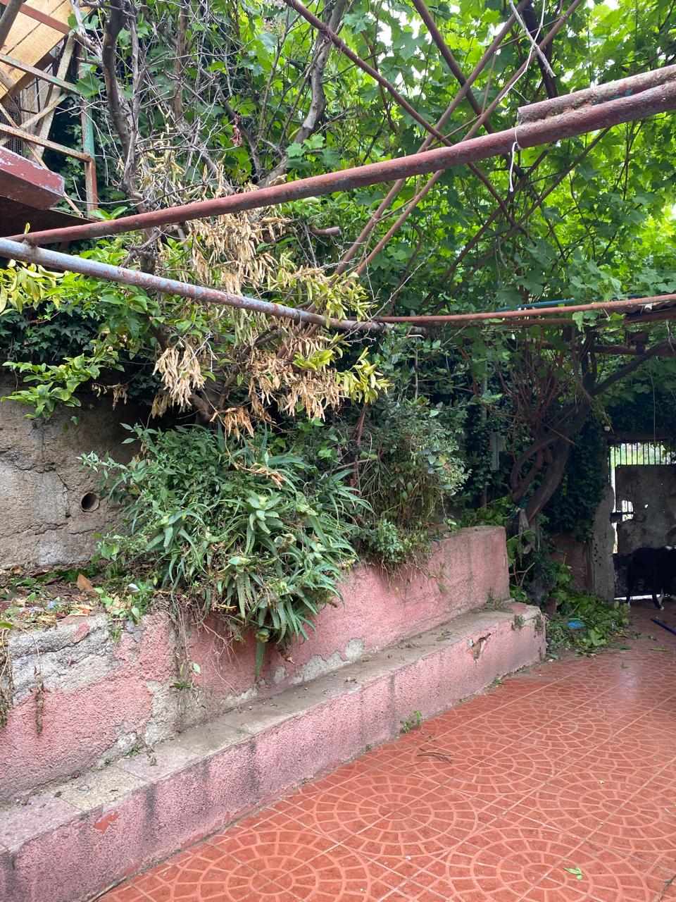 Casa con amplio terreno cerro Ohiggins